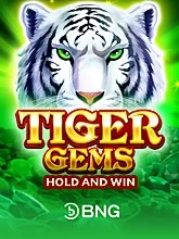 Tiger Gems-Hold and win