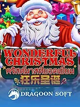 Wonderful Christmas