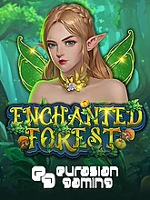 Enchanted Forest