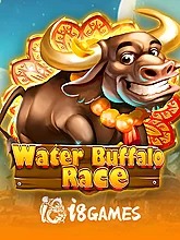 Water Buffalo Race