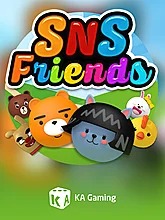 SNS Friends