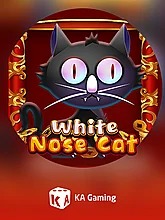 White Nose Cat