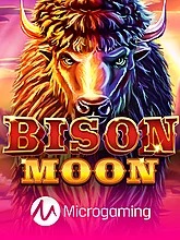 Bison Moon