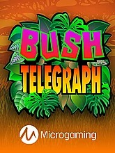 Bush Telegraph