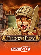 Feline Fury