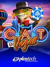 Cat in Vegas