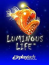 Luminous Life