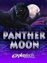Panther Moon