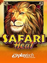 Safari Heat