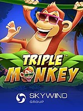Triple Monkey