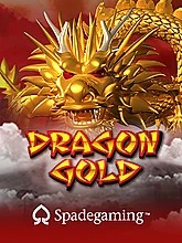Dragon Gold SA