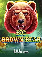 Big Brown Bear