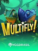 Multifly!